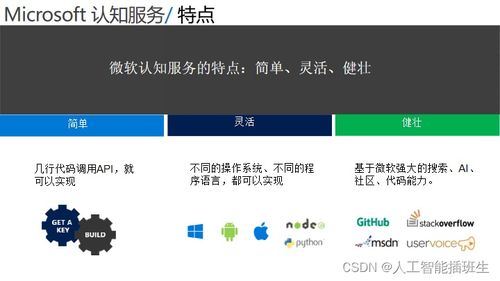 微软人工智能应用概览 推动智能软件开发新纪元